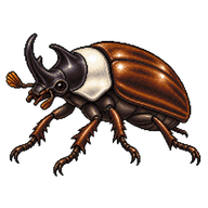 White-necked Pine-beetle