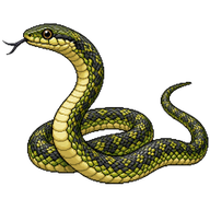 Green Whip Snake