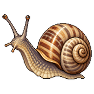 Eastern Desertsnail