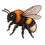 Tree Bumblebee