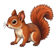 Red-tailed Squirrel Kit