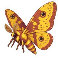 Imperial Moth