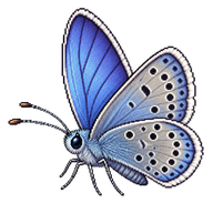 Small Blue