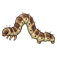 Mottled Umber Caterpillar