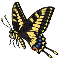 Two-tailed Swallowtail
