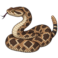 Northern Pacific Rattlesnake