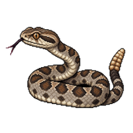 Northern Pacific Rattlesnake Hatchling