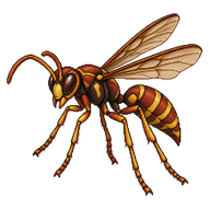 Red Paper Wasp