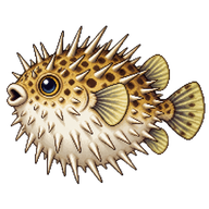 Longspined Porcupinefish