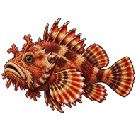 Papuan Scorpionfish