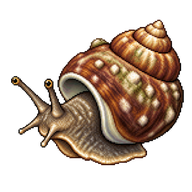 Chestnut Turban