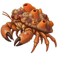 Redeye Sponge Crab