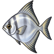Silver Moony