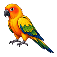 Jandaya Parakeet