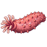 Pinkfish