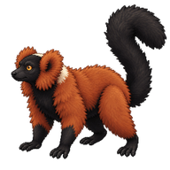 Red Ruffed Lemur