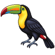 Yellow-throated Toucan