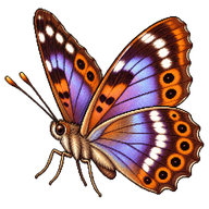Lilac Beauty