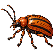 Viburnum Leaf Beetle