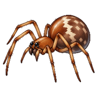 Mothercare Spider