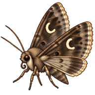 Setaceous Hebrew Character