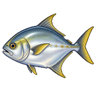 Pompano
