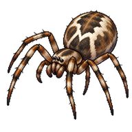 Missing Sector Orb Weaver