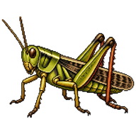 Devastating Grasshopper