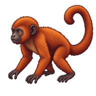 Red Howler Monkey Juvenile