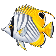 Threadfin Butterflyfish