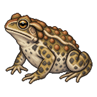 Great Plains Toad