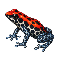 Red-backed Poison Frog