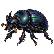 Carolina Dung Beetle