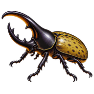 Eastern Hercules Beetle