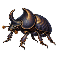 Humpback Dung Beetle