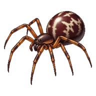 Boreal Combfoot