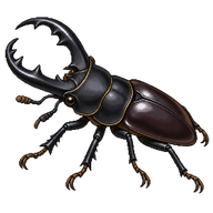 Giant Stag Beetle