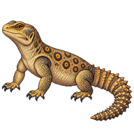 Ocellated Spinytail