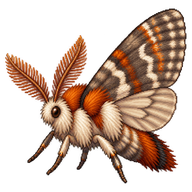 Rusty Tussock Moth