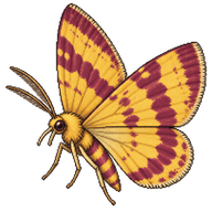 Purple-Barred Yellow