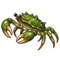 Green Clinging Crab