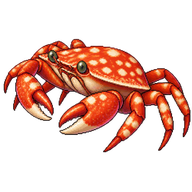 Cymodoce Guard Crab