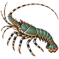 Painted Spiny Lobster