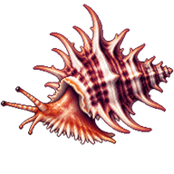 Pele's murex