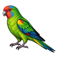 Swift Parrot