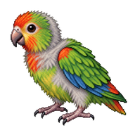 Swift Parrot Nestling