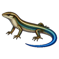 Metallic Skink