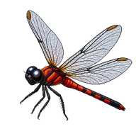Black-faced Percher