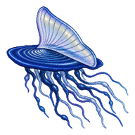 By-the-wind Sailor