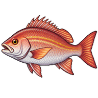 Dog Snapper